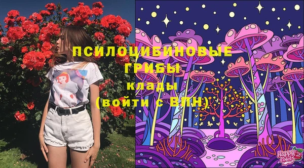 прущий лед Богданович