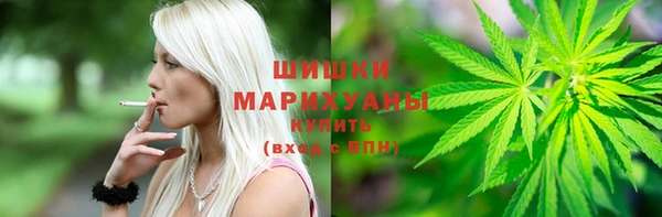 прущий лед Богданович