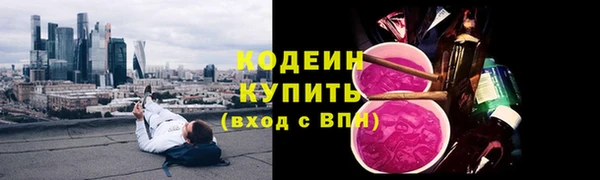 прущий лед Богданович