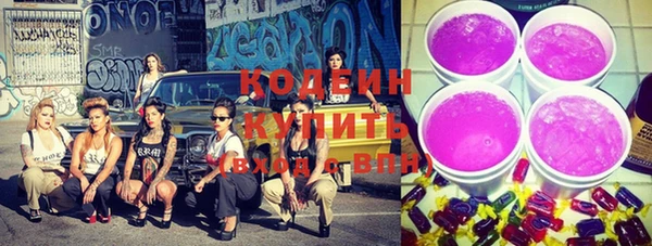 прущий лед Богданович
