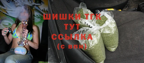 прущий лед Богданович