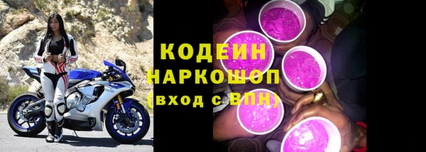 прущий лед Богданович