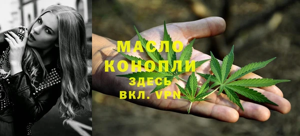 прущий лед Богданович