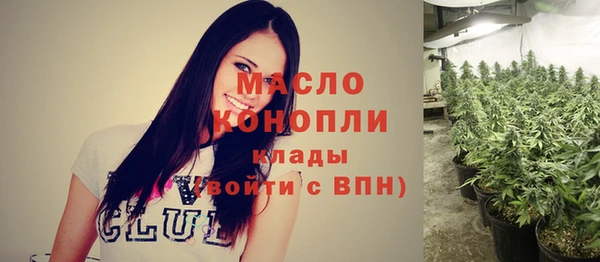 прущий лед Богданович
